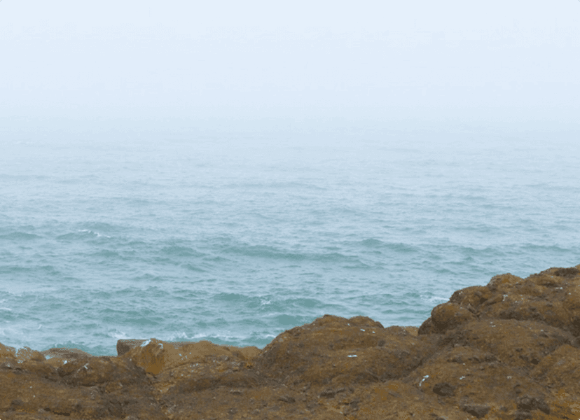 Sea Level Rise Center