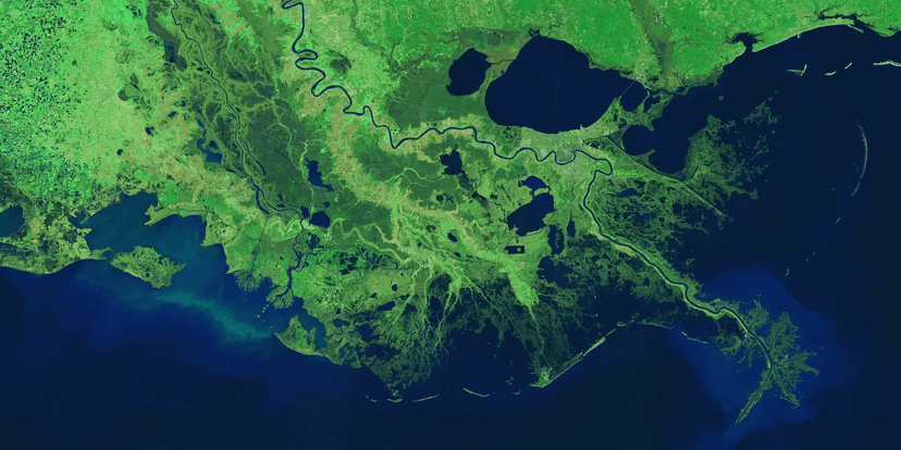 Biodiversity theme image