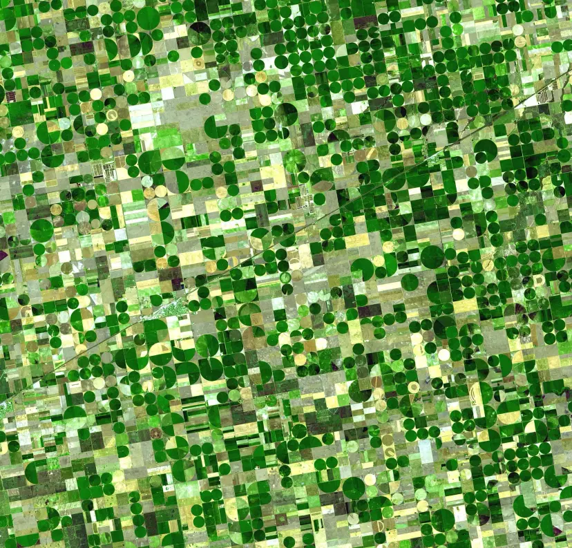 Agriculture theme image